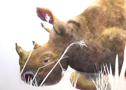 Rhino by Beverly Tuzin
