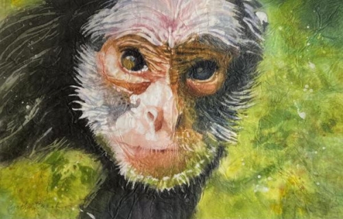 Monkey See Monkey Do by Cynthia Roach