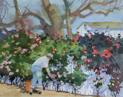 Balboa Rose Garden by Thomas Franco