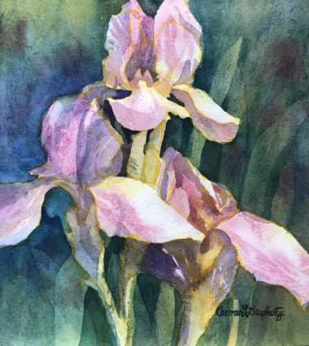 Irises in the Light by Carmen Daugherty