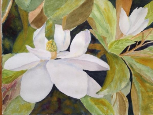 White Magnolia by Linda Bienhoff