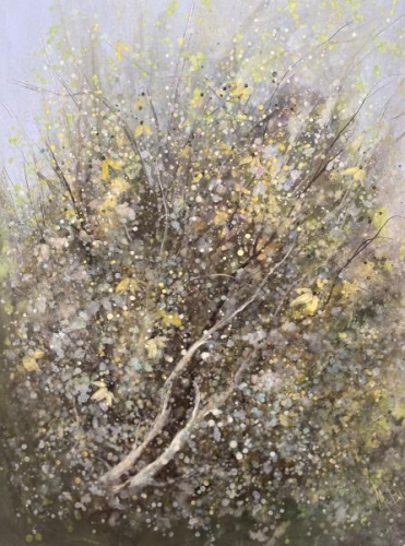 Woodland Flowers #2 by Bette McBain