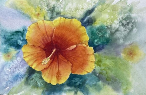 Hibiscus Blossom  by Ann Miller