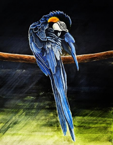 The Blue Bird by Jai Manosalva