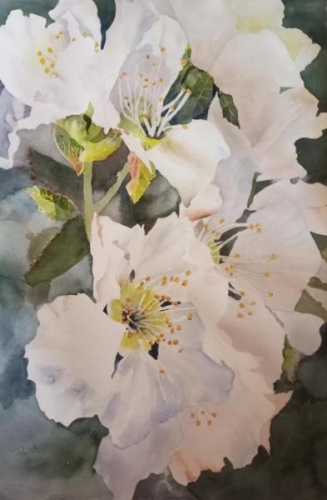 Apple Blossom Time by Barbara Parish