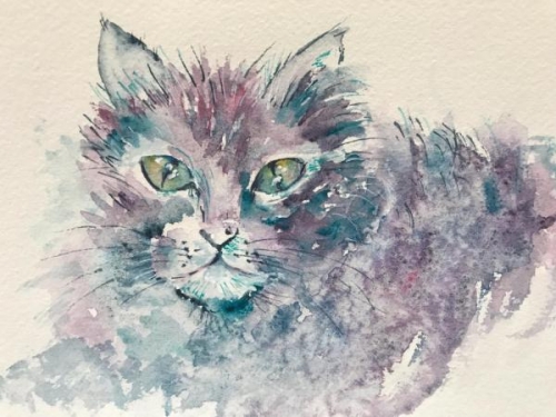Mini Meow by Donna Arnaudoff