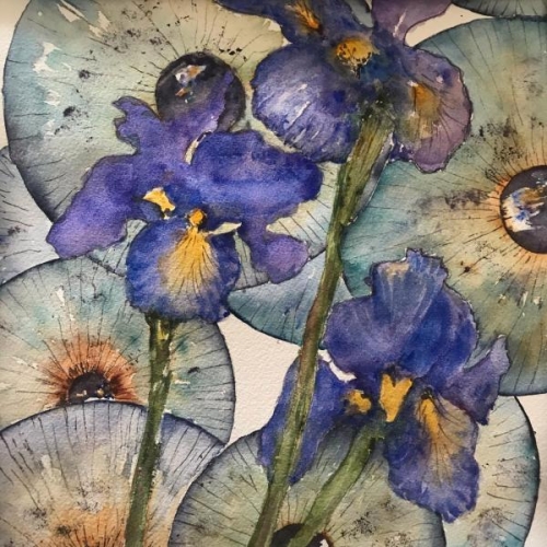 See the Irises by Donna Arnaudoff