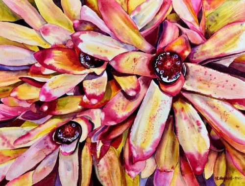 Bromeliad, O'ahu by Sue Hopkins