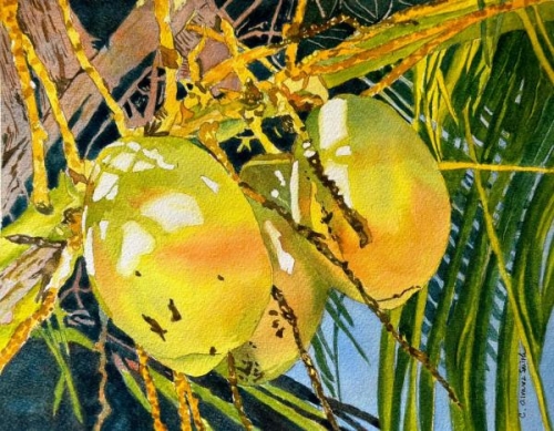 Coconuts by Catherine Alvarez-Smith